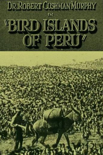 Bird Islands of Peru (1930) poster
