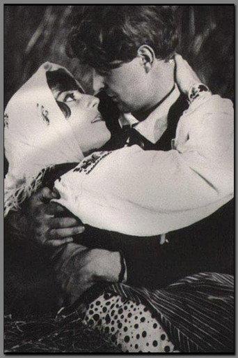 Cham (1931) poster