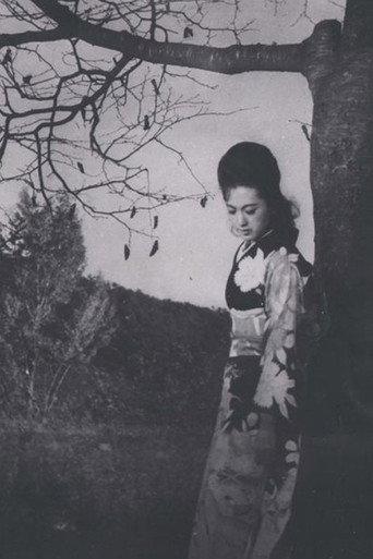 Happy Solitude (1963) poster