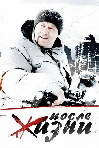 After Life (2008) poster