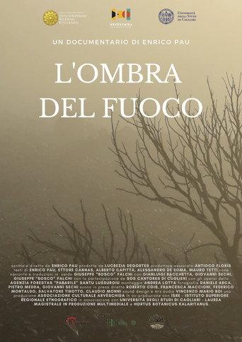 L'ombra del fuoco (2023) poster
