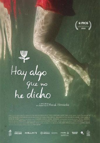 Hay algo que no he dicho (2021) poster
