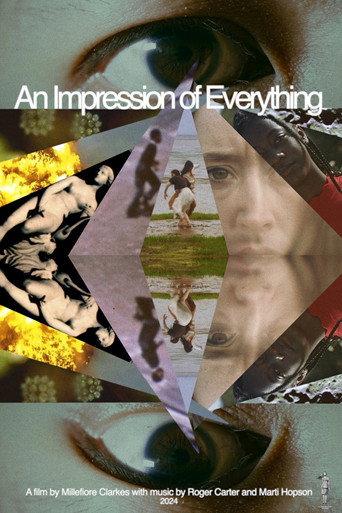 An Impression of Everything () poster