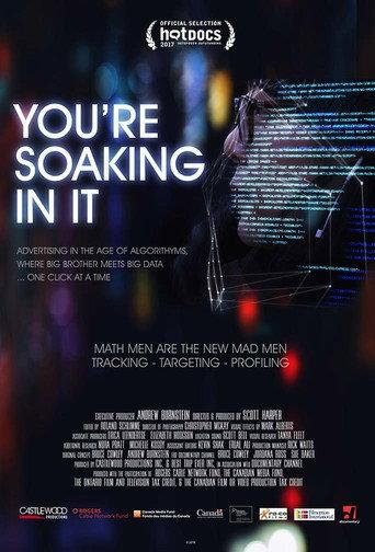 You're Soaking in It (2017) poster