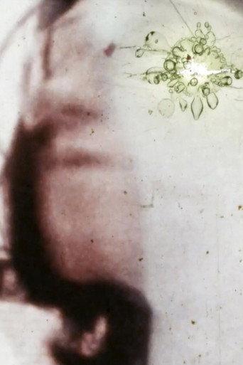 Possesed by a White Shadow (1980) poster