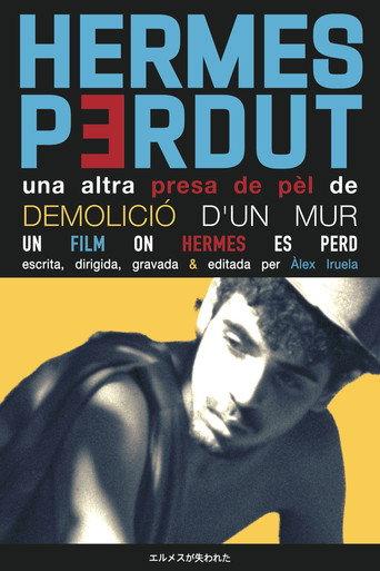 Hermes Perdut () poster