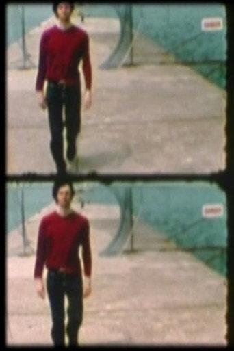 4x8x3 (2004) poster