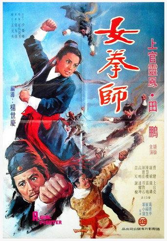 A Girl Fighter (1972) poster