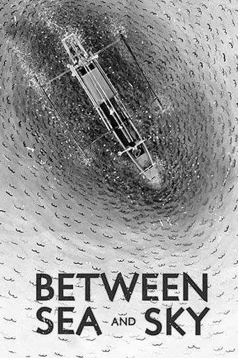Between Sea and Sky (2020) poster