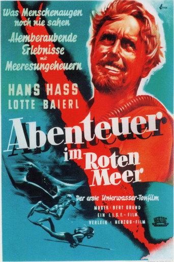Diving in the Red Sea (1951) poster