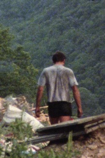Stranger II (1992) poster
