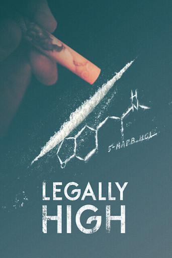 Legally High (2013) poster