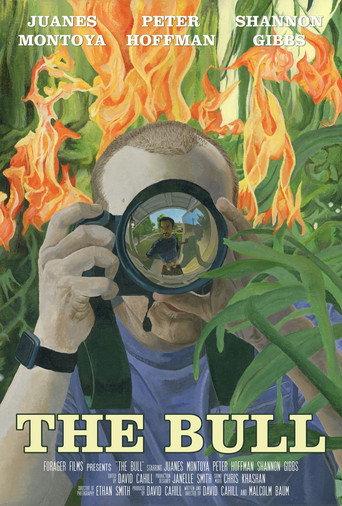 The Bull () poster