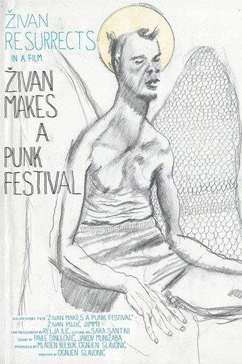 Zivan Makes a Punk Festival (2014) poster