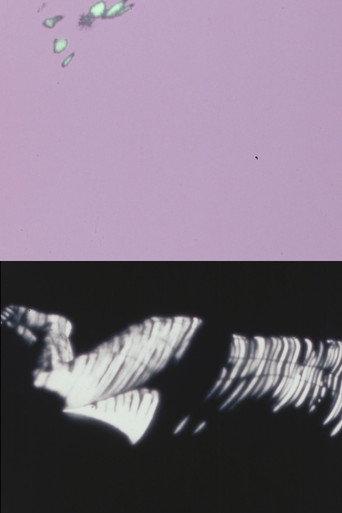 Nude/Etude (1978) poster