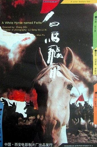 Feifei (1996) poster