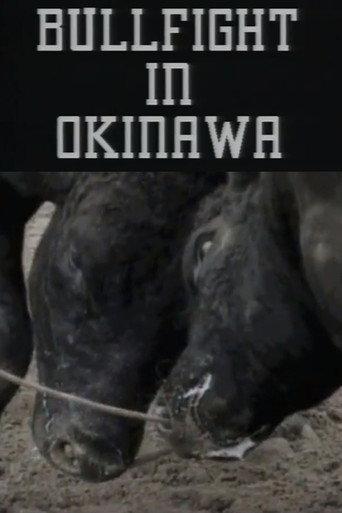 Bullfight in Okinawa (1994) poster