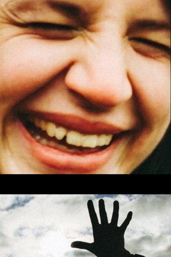 Rabbits in The Headlights (2016) poster