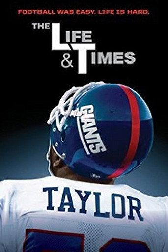 LT: The Life & Times (2013) poster