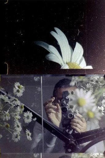 My Hand Outstretched to the Winged Distance and Sightless Measure (2005) poster
