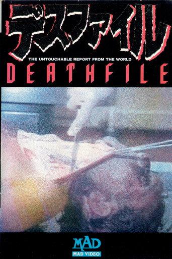 Death File (1989) poster