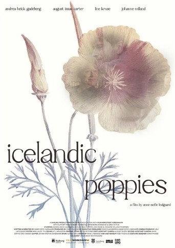 Icelandic Poppies (2023) poster