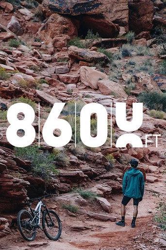 8600FT () poster