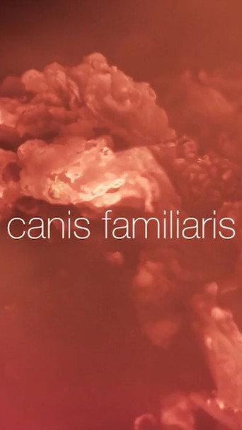 Canis familiaris (2017) poster
