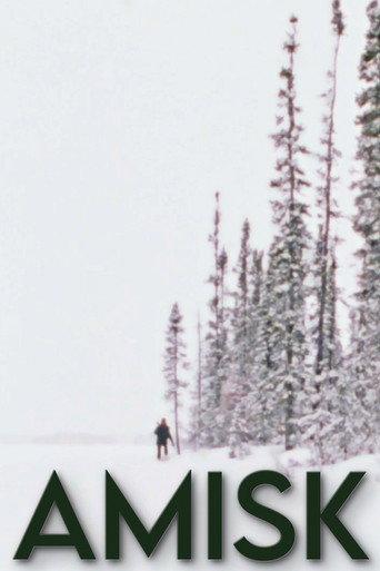 Amisk (1977) poster