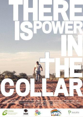 There Is Power in the Collar (2021) poster