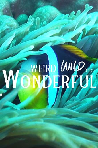 Weird, Wild, and Wonderful (2023) poster