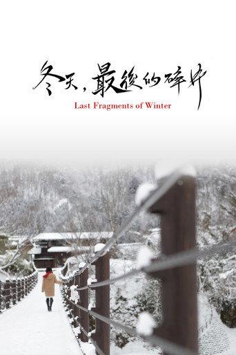 Last Fragments of Winter (2011) poster