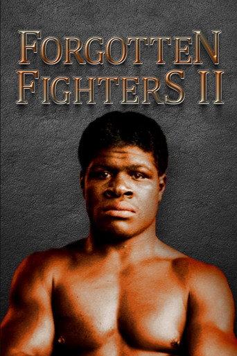 Forgotten Fighters II (2022) poster