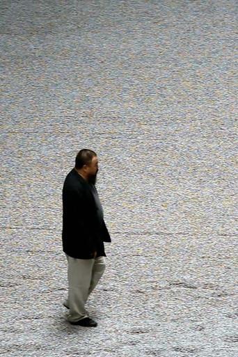 Ai Weiwei: Sunflower Seeds (2010) poster