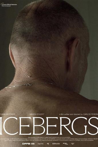Icebergs (2024) poster
