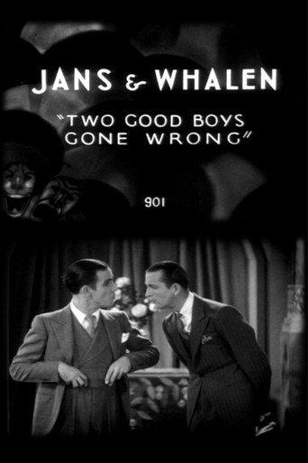 Two Good Boys Gone Wrong (1929) poster