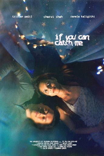 If You Can Catch Me () poster