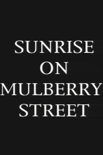 Sunrise On Mulberry Street (1998) poster