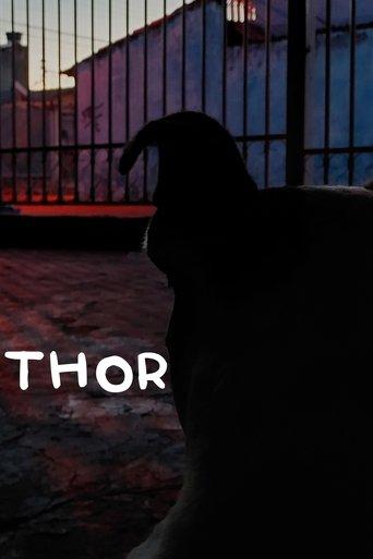 Thor (2024) poster