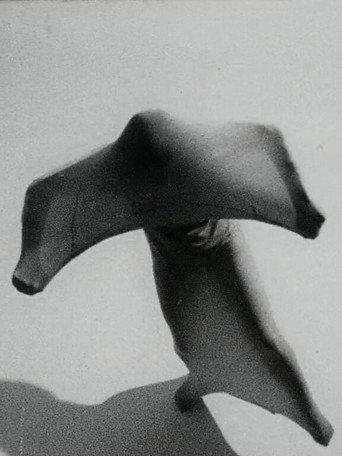 Ana Kamien (1970) poster