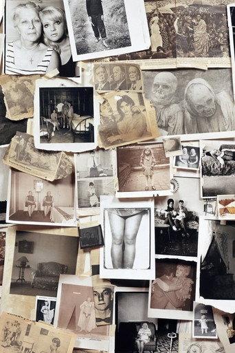 A Slide Show and Talk by Diane Arbus (2005) poster
