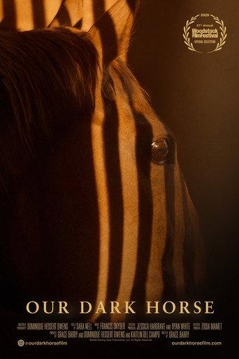 Our Dark Horse (2026) poster