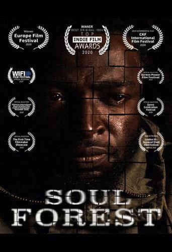 Soul Forest (2020) poster