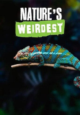 Nature's Weirdest (2021) poster
