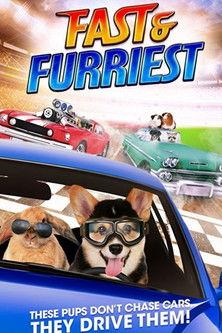 Fast and Furriest (2017) poster