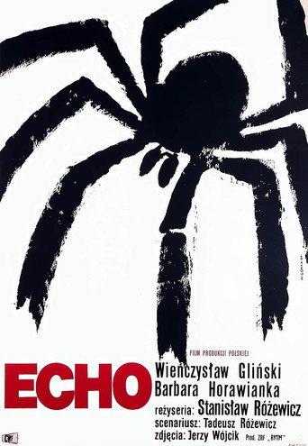 Echo (1964) poster