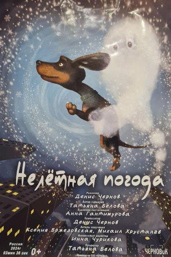 Нелётная погода (2025) poster