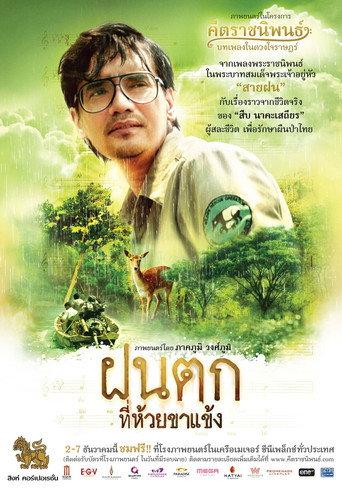 Falling Rain (2015) poster