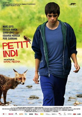 Little Indi (2009) poster