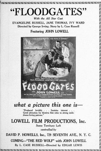 Floodgates (1924) poster